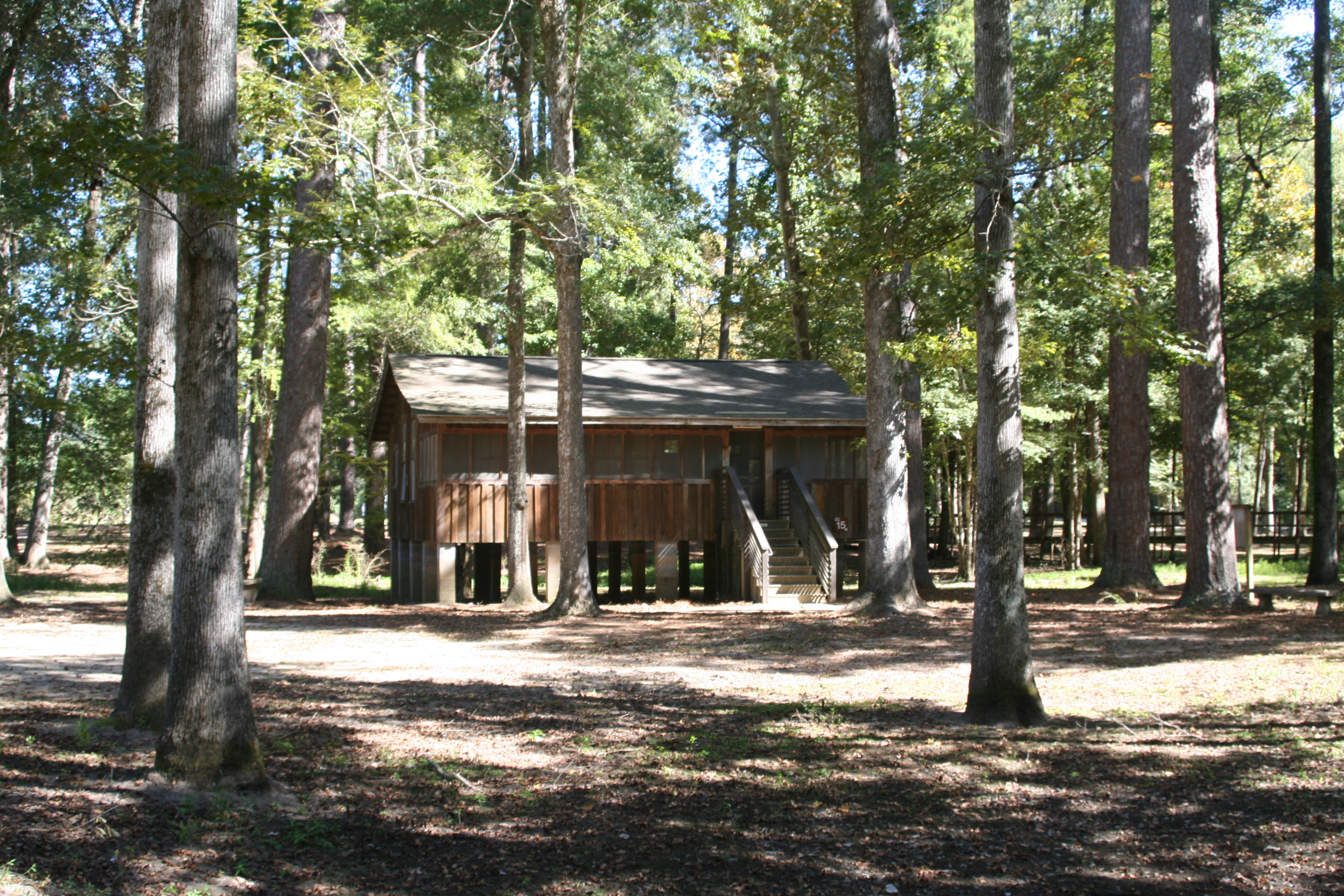 Cabin 15jpg